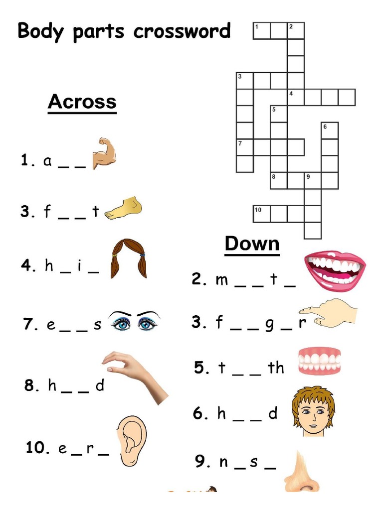 body parts crossword