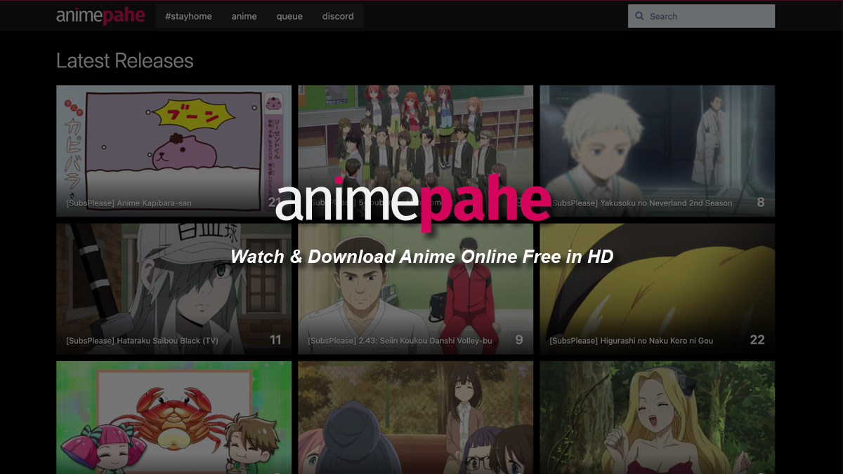 animepahe.com