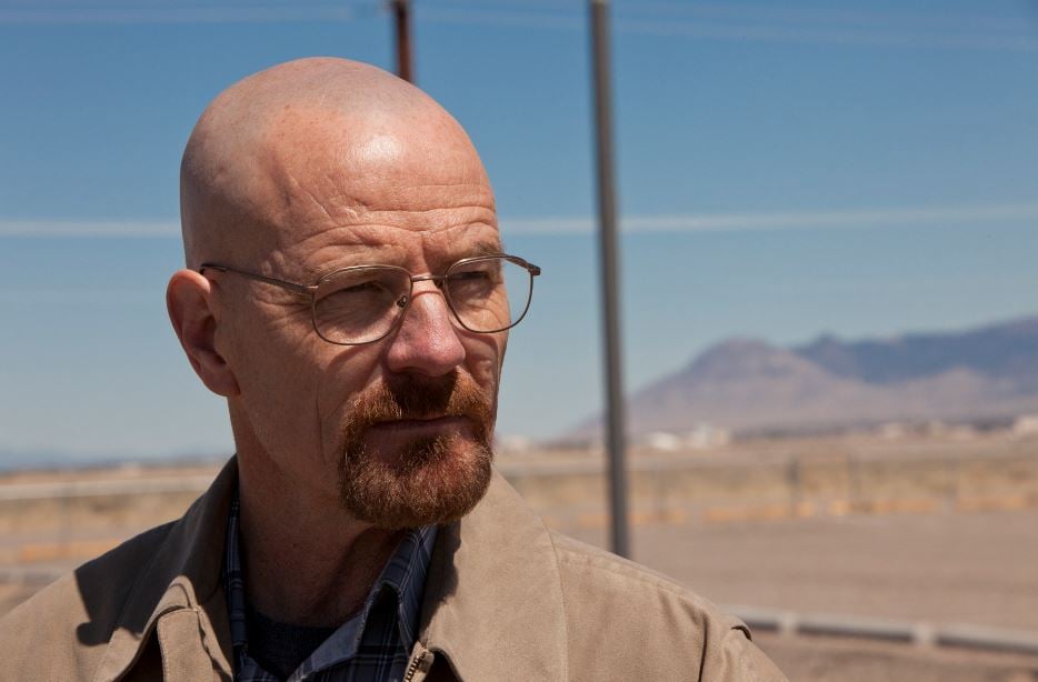 walter white full name