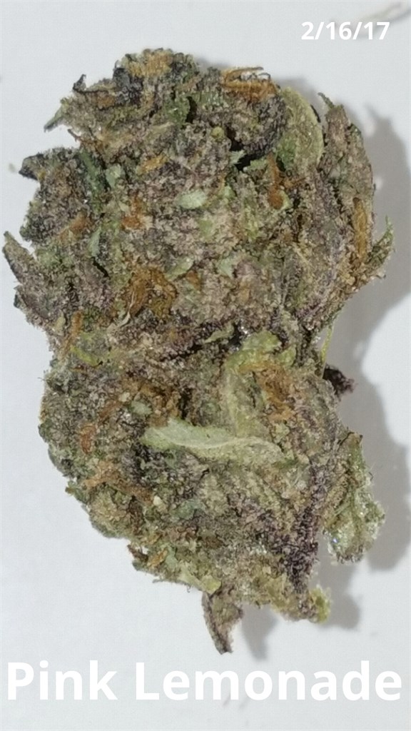 pink snapple strain