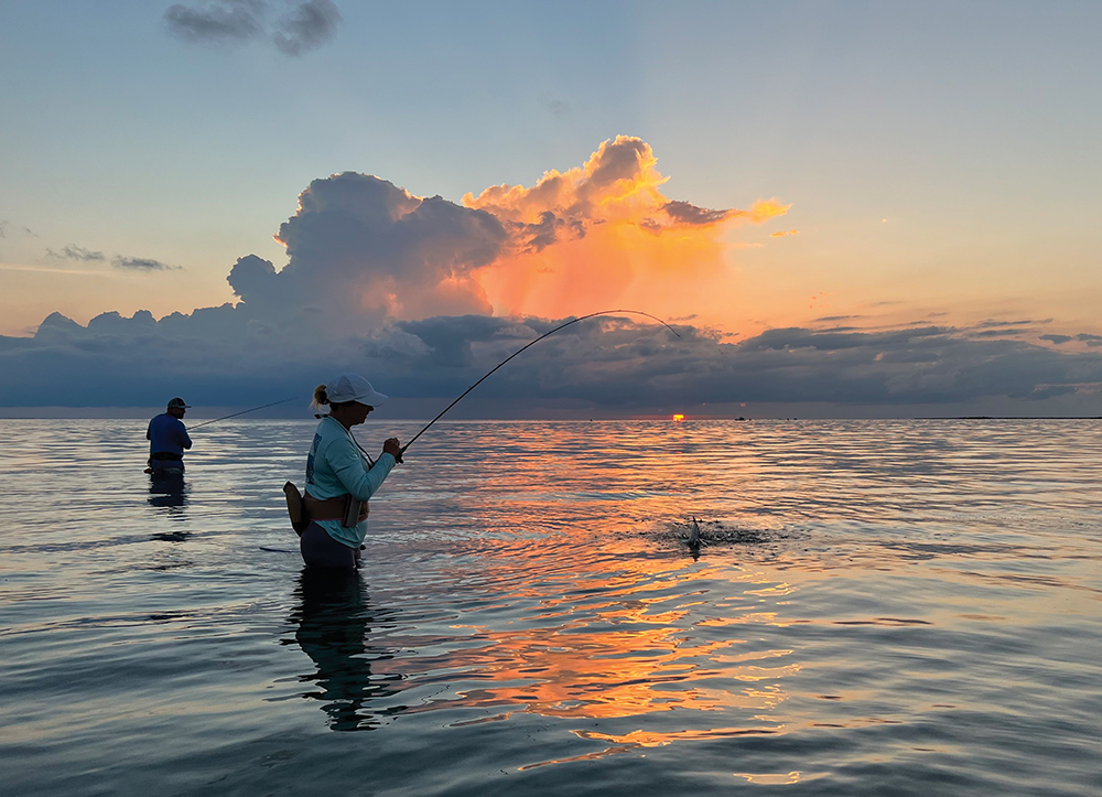 midcoast fishing