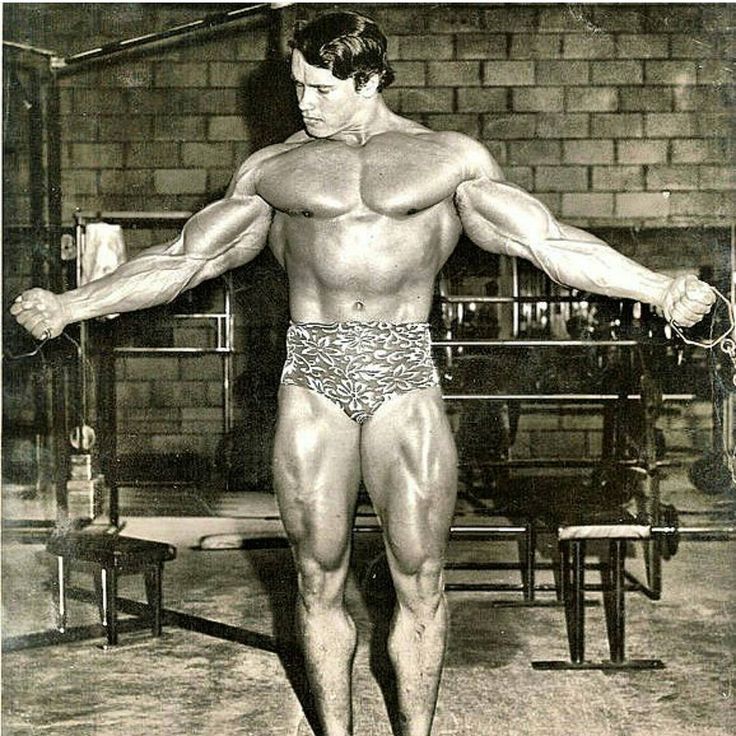 arnold schwarzenegger ig