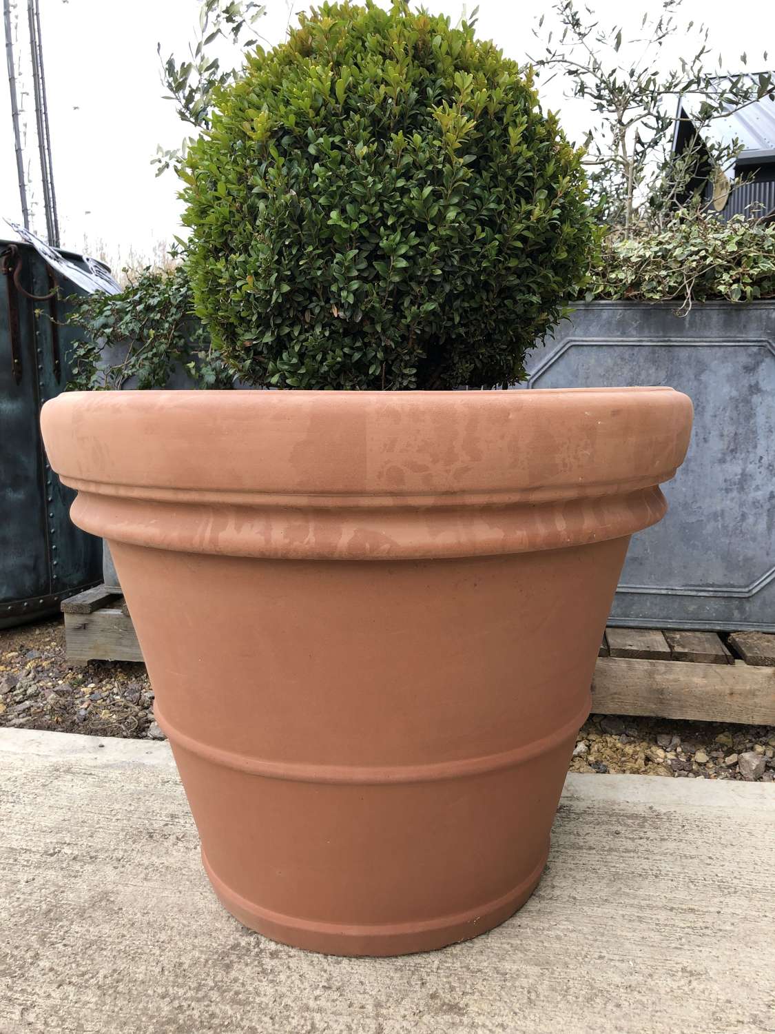 extra large clay pots