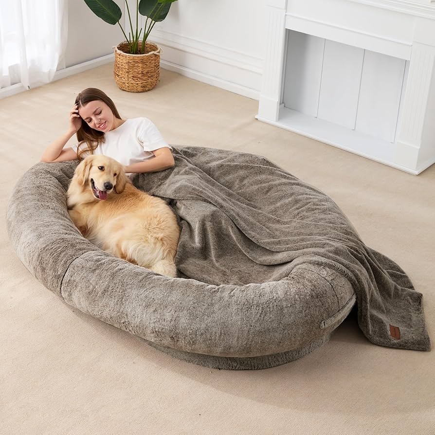 big dog beds amazon