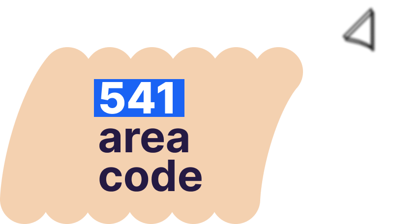 1-541 area code