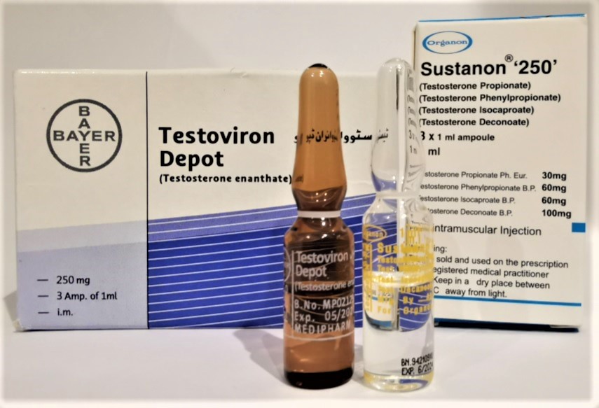 sustanon 250 vs test e