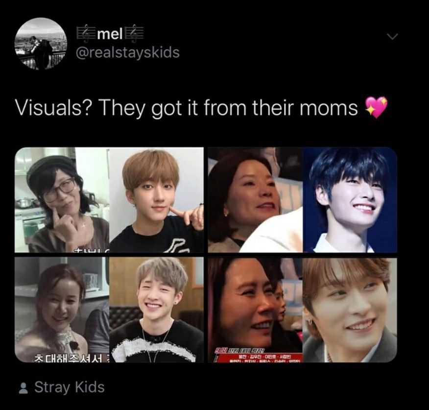 straykids memes