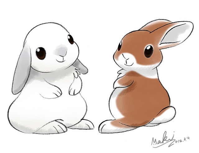 rabbits dibujos