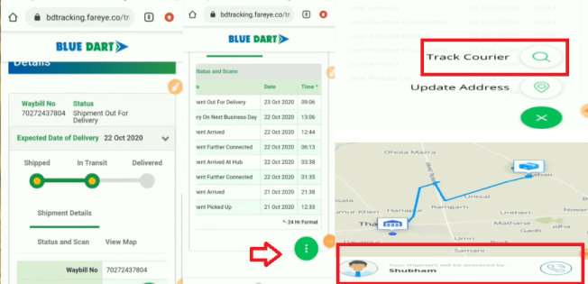 blue dart passport tracking