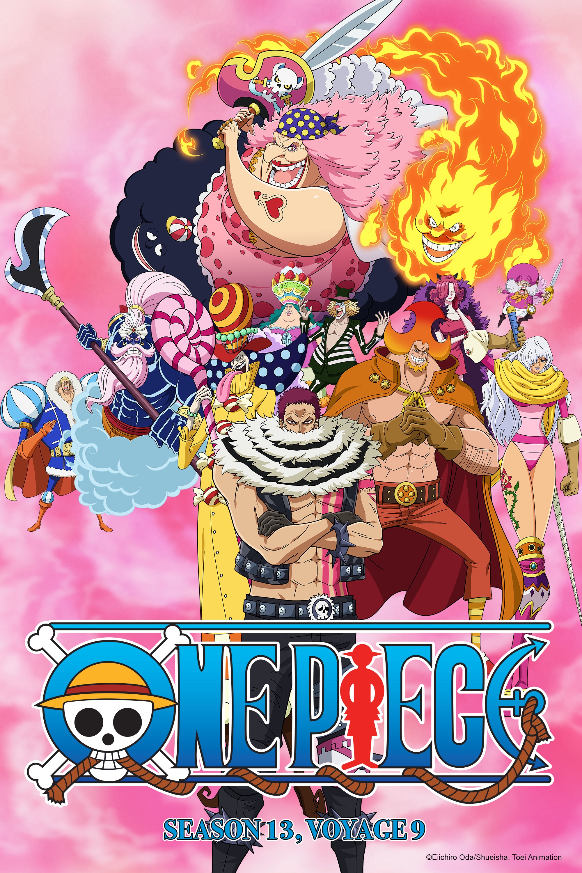 one piece season 13 voyage 9 dub release date