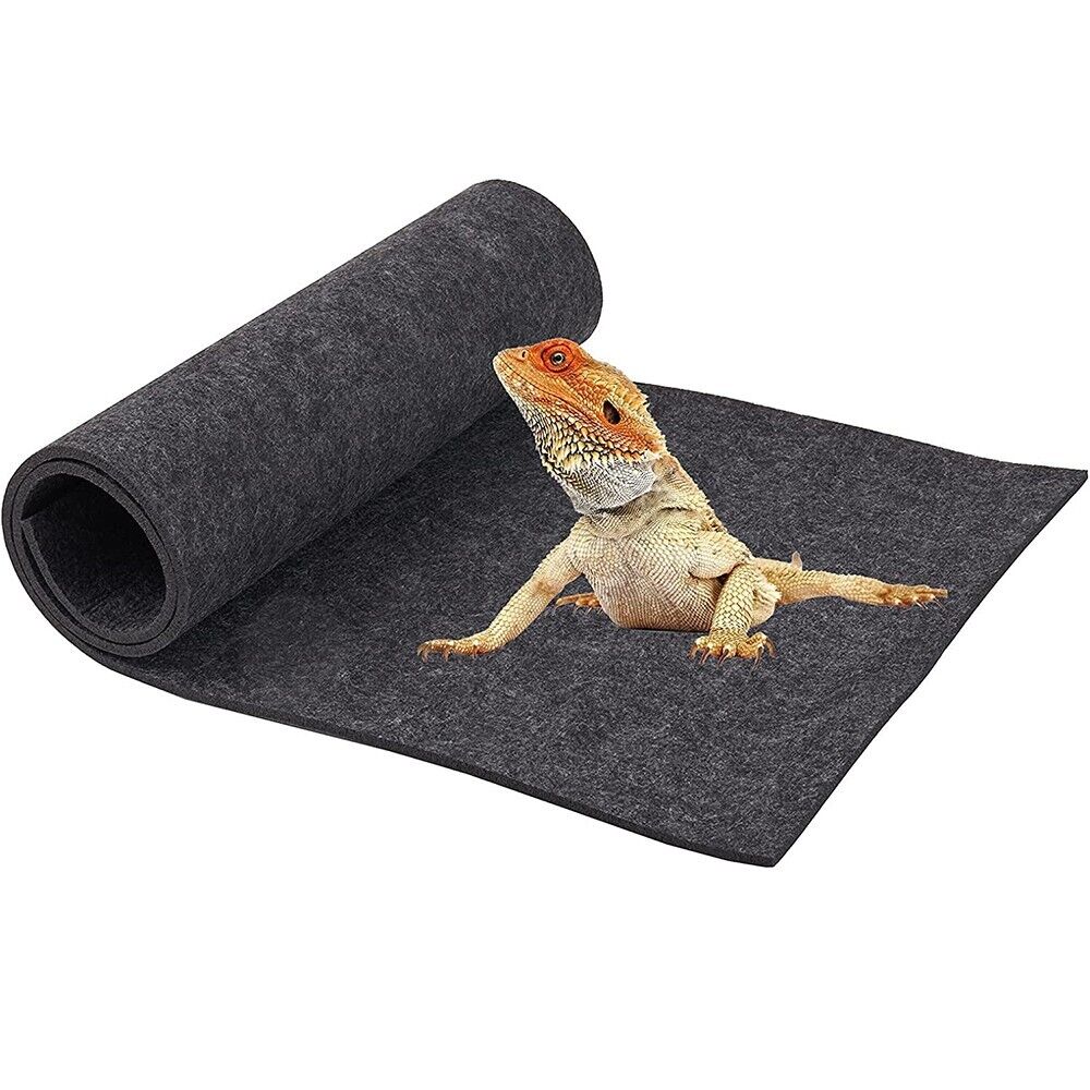 reptile carpet