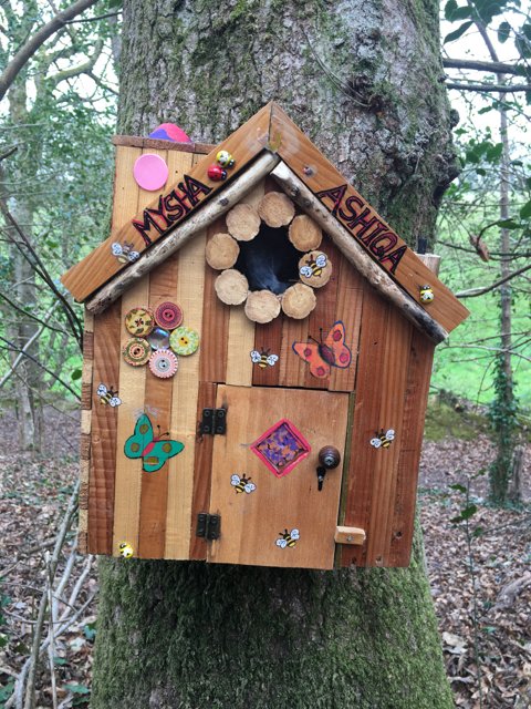 fairy hq on the enchanted trail