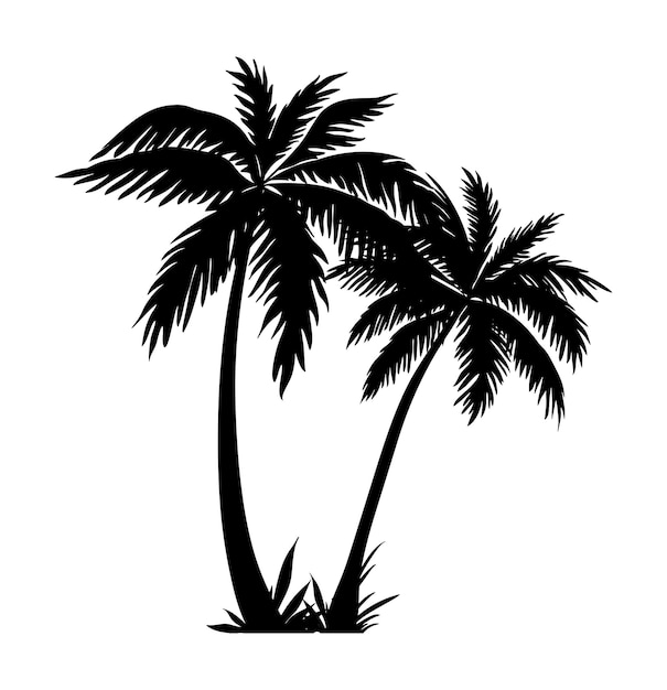 vector palm tree