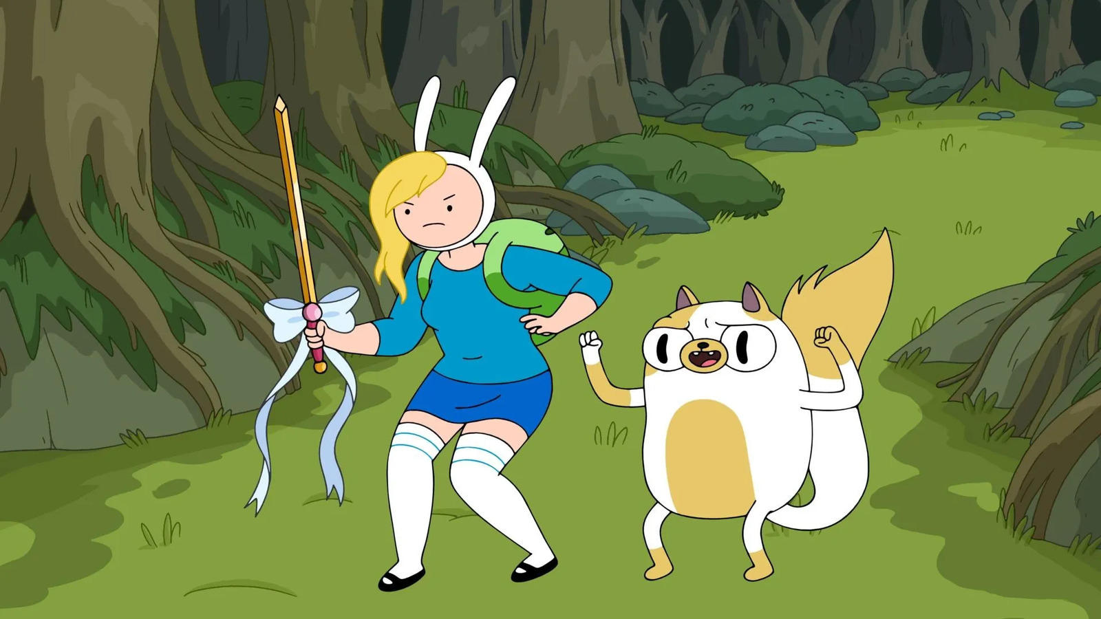 fionna and cake release date