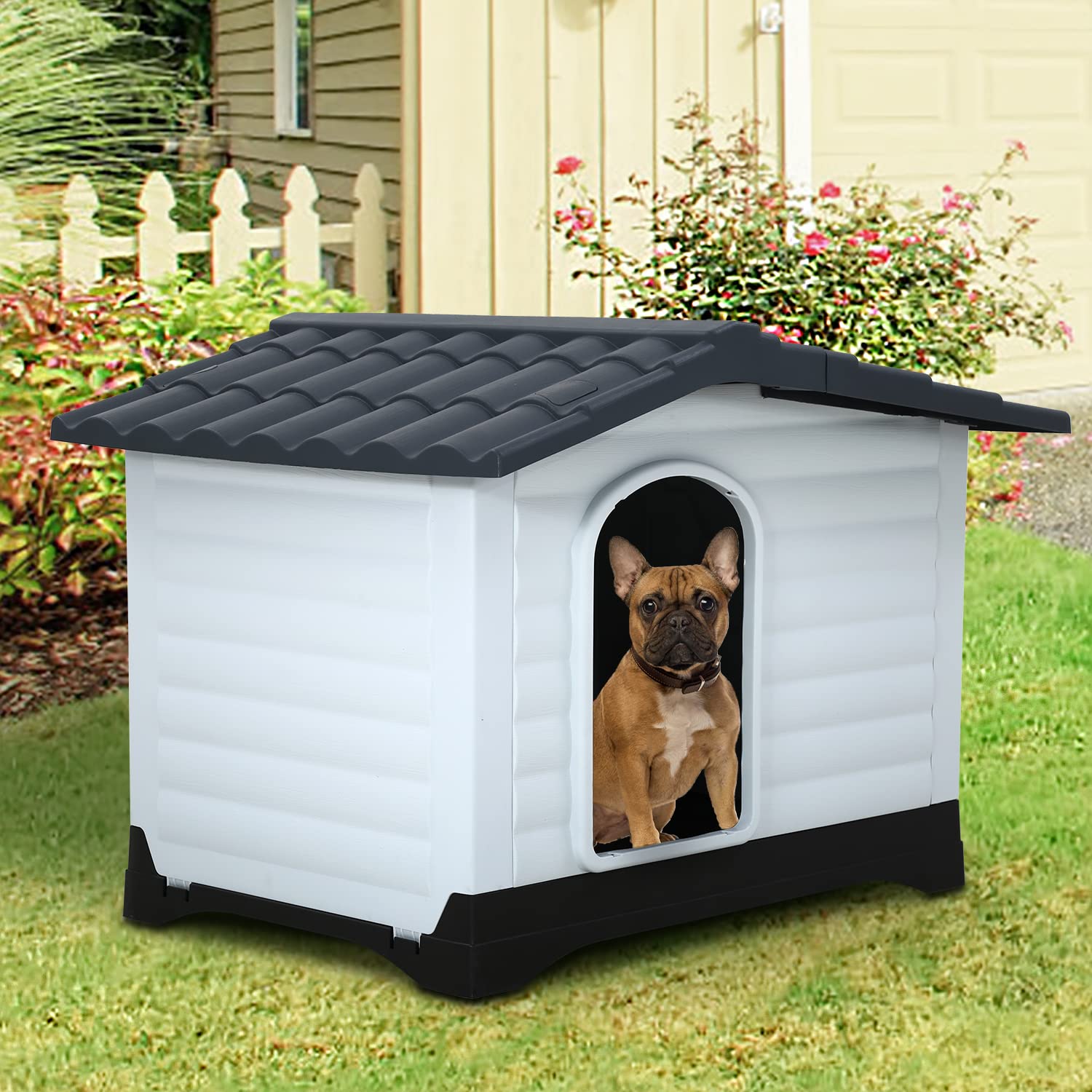 medium size dog house for sale