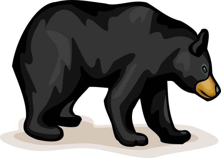 bear clip art images