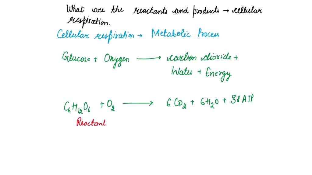 what are the reactants and products of cellular respiration