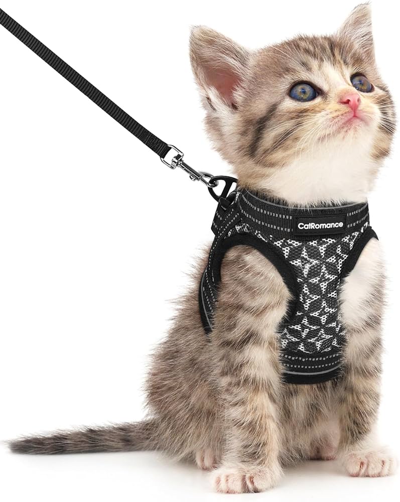 adjustable cat harness