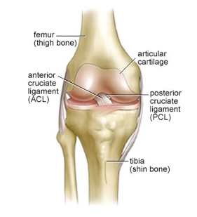 acl tear icd 10