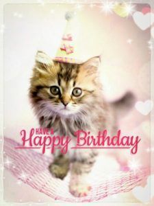 pictures of happy birthday cats