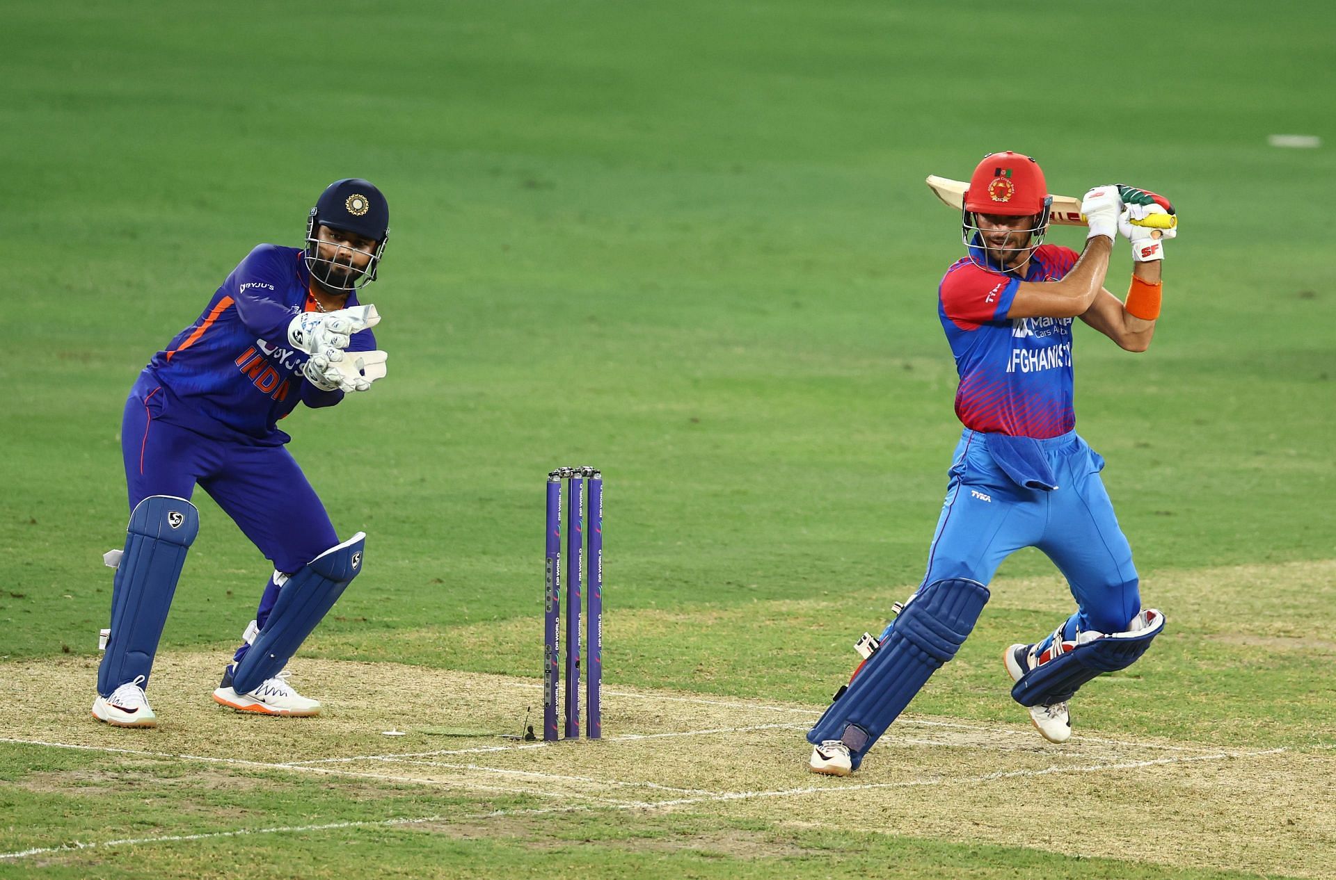 afghanistan national cricket team vs india national cricket team stats