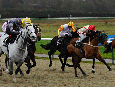 trading strategies on betfair