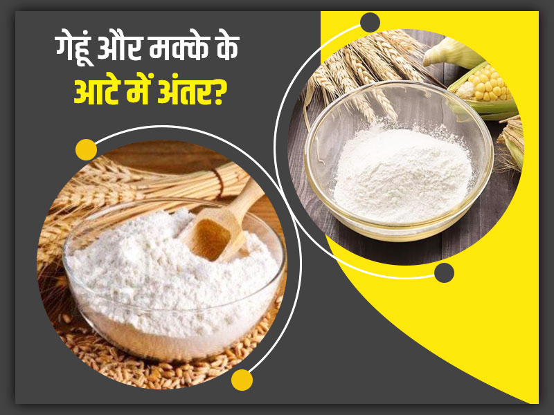 bread flour in hindi