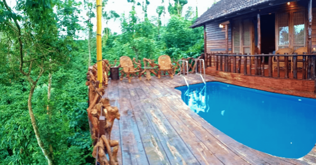 wayanad tree house low price