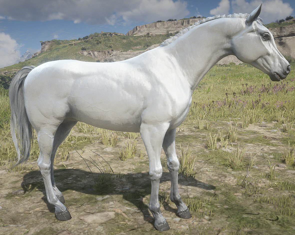 arabian white horse rdr2