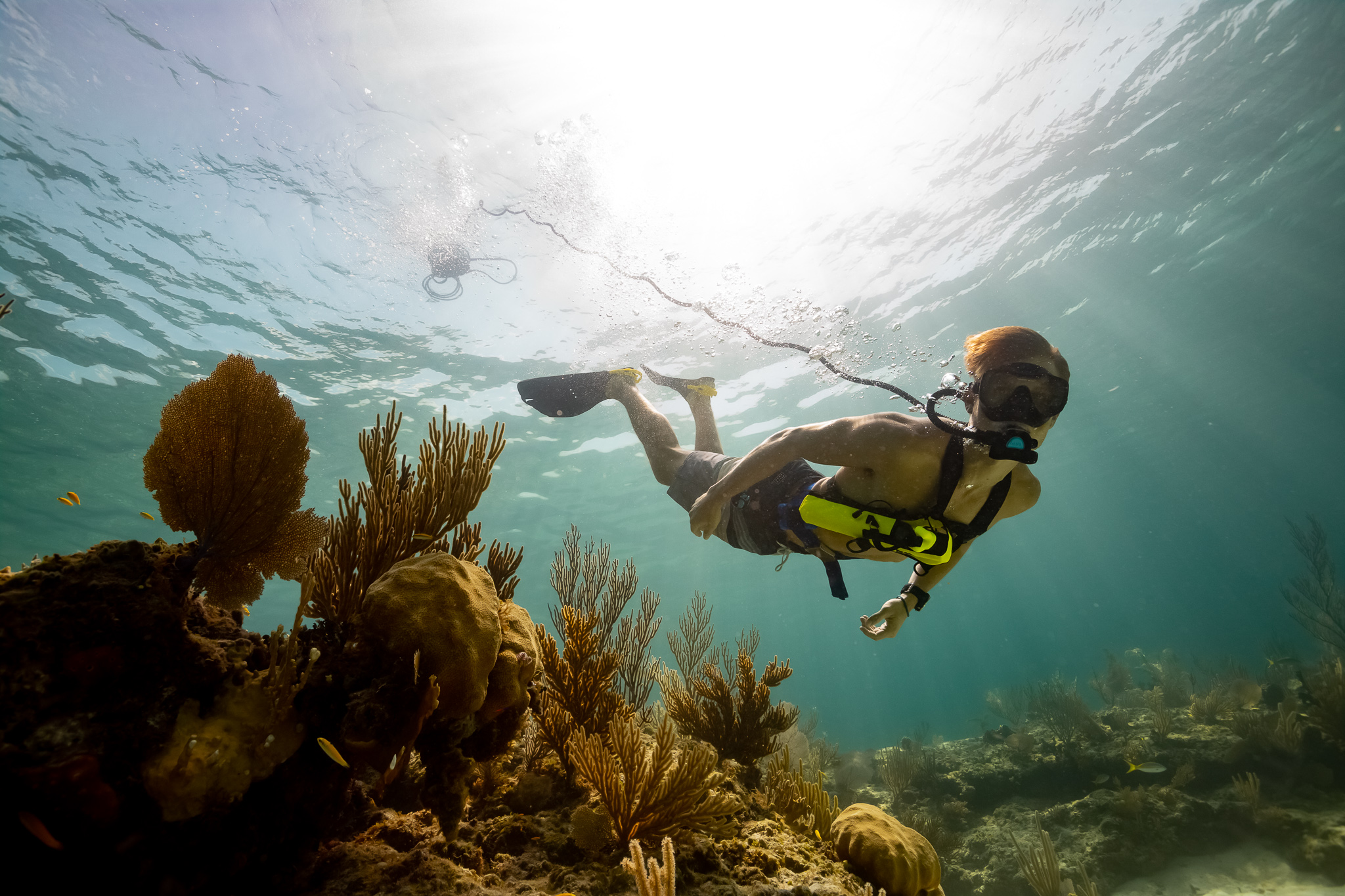 tankless scuba diving