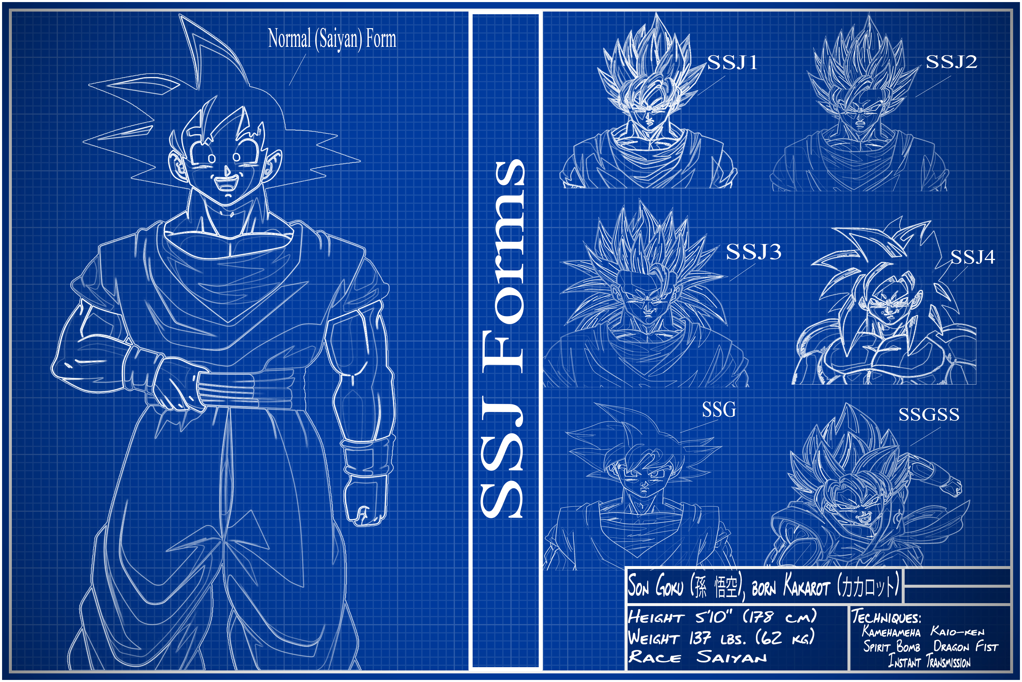 goku height and weight