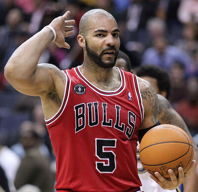 boozer bulls