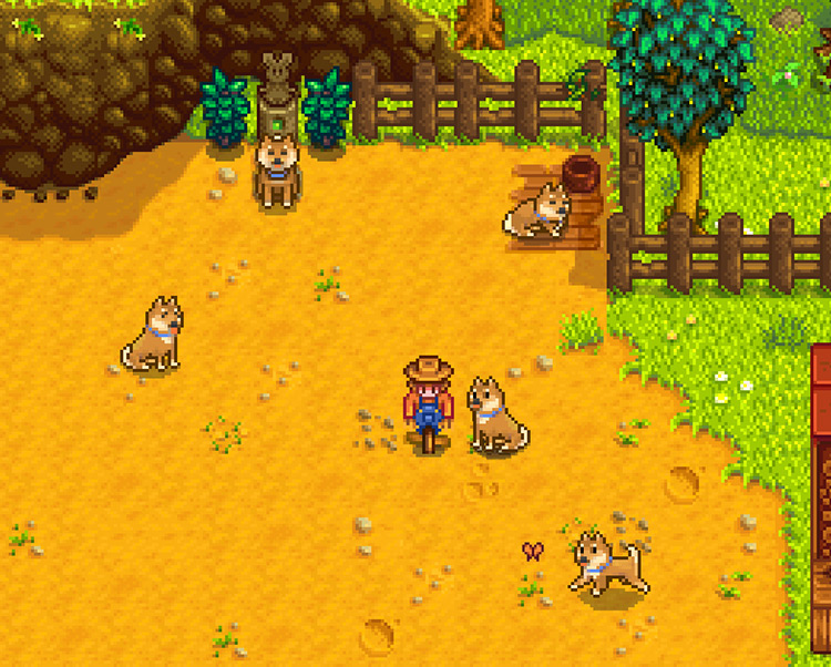 how to pet animals stardew valley