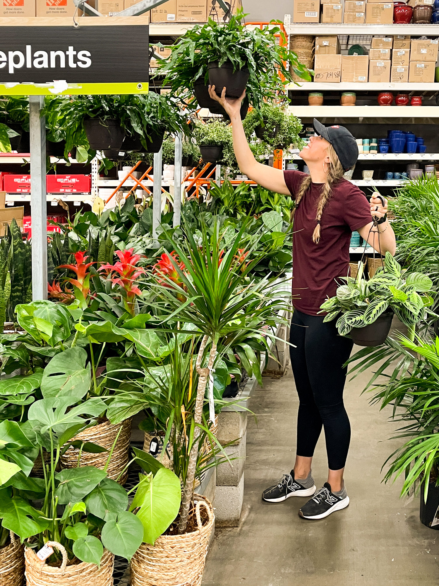 home depot plants online