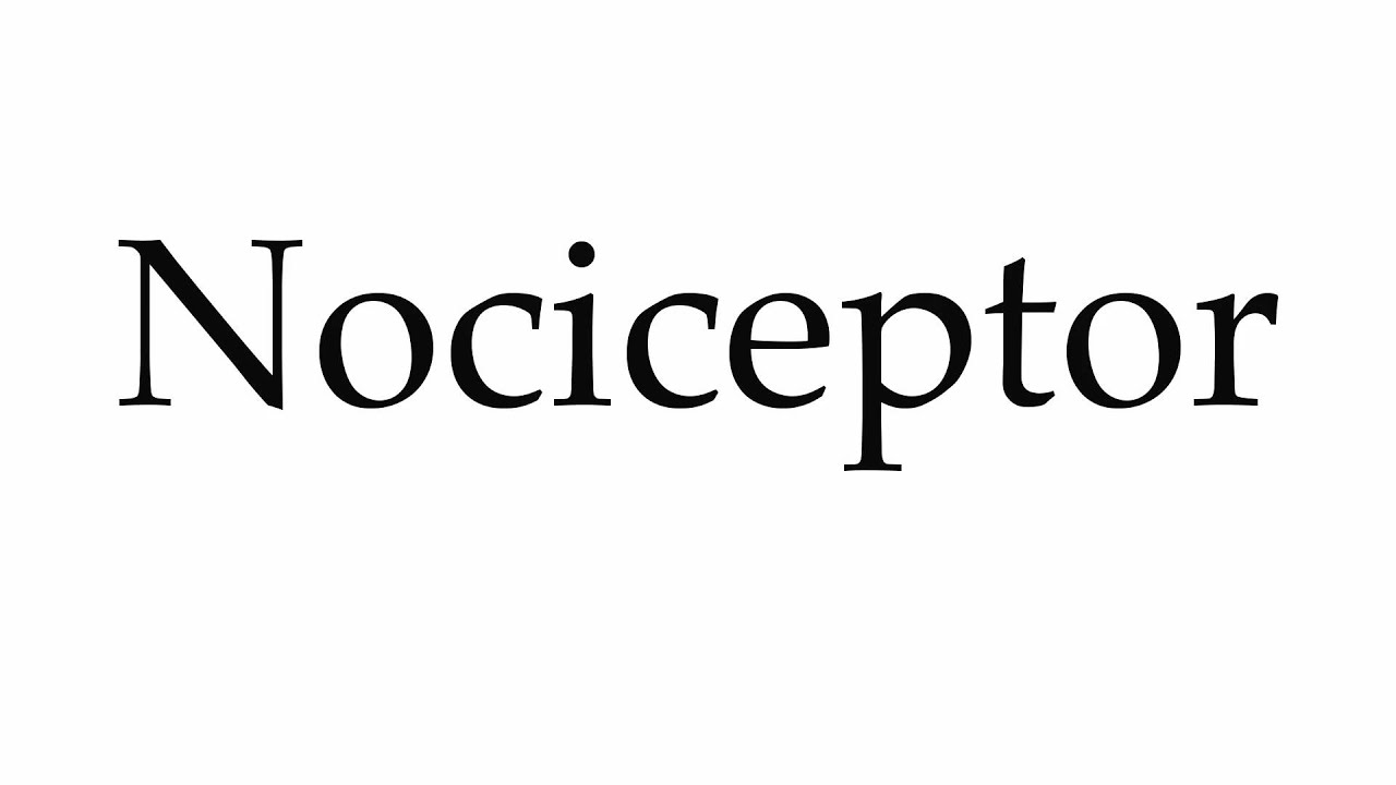 nociceptors pronunciation