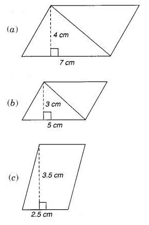 find the area of the following