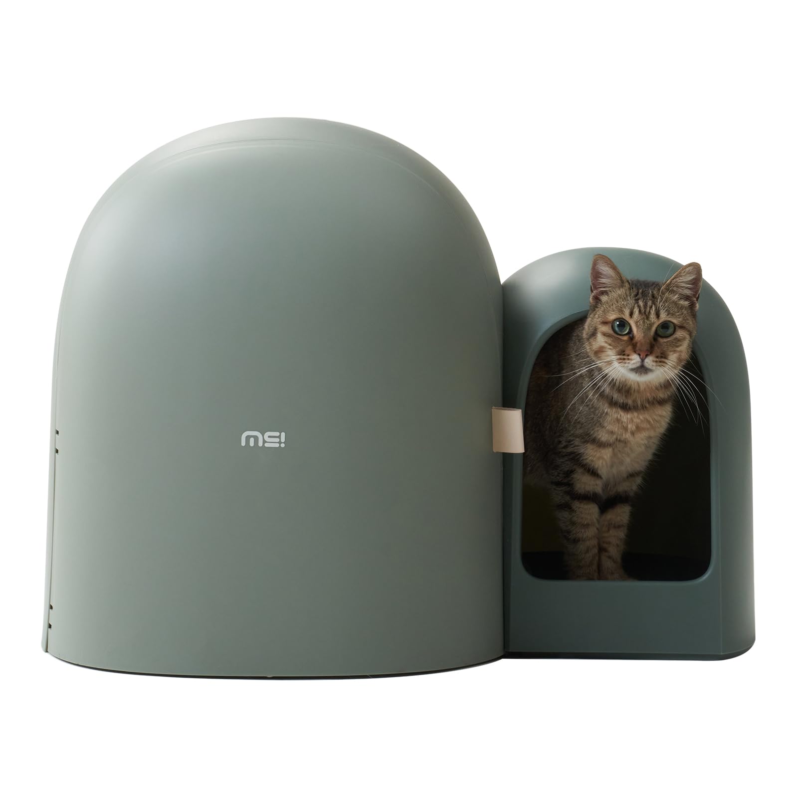 makesure cat litter box