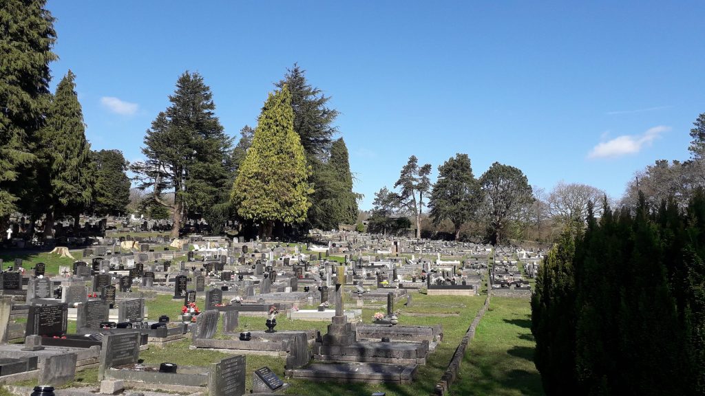 trane cemetery