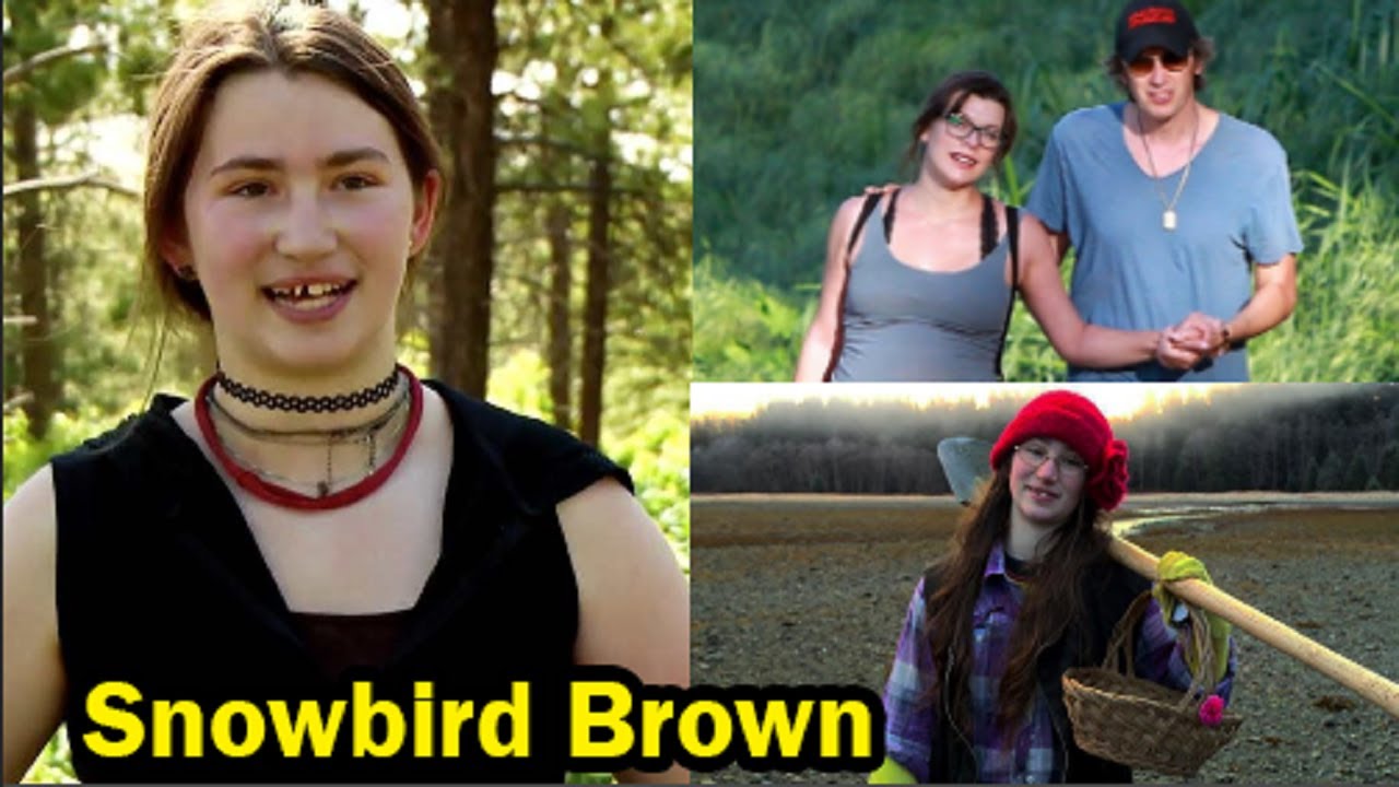 snowbird brown