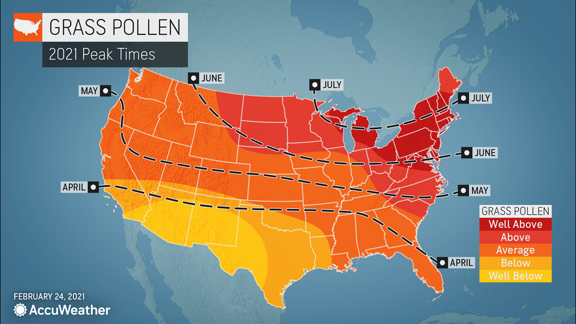 pollen count for alabama