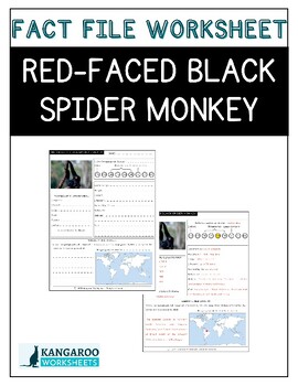 spider monkey fact file