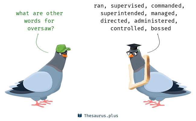 oversaw synonym