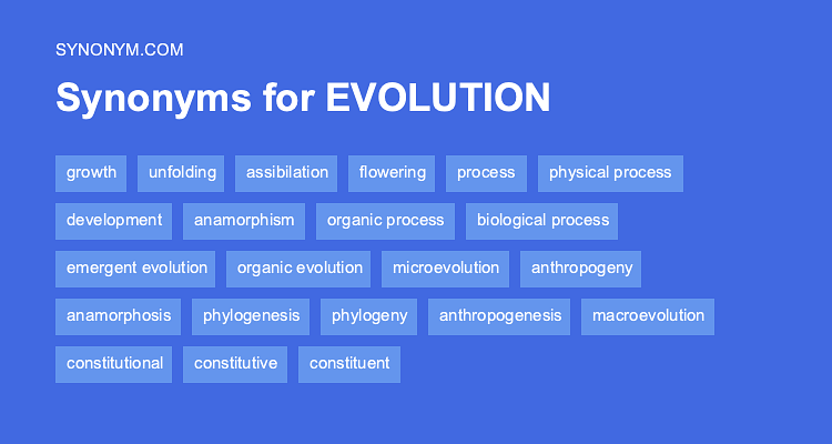 evolve thesaurus