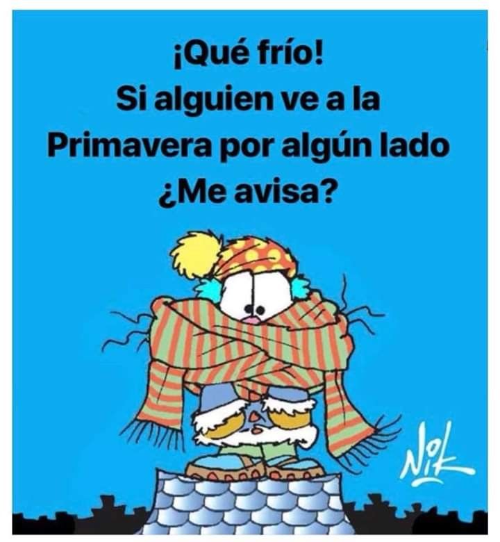 frases sobre el frio graciosas