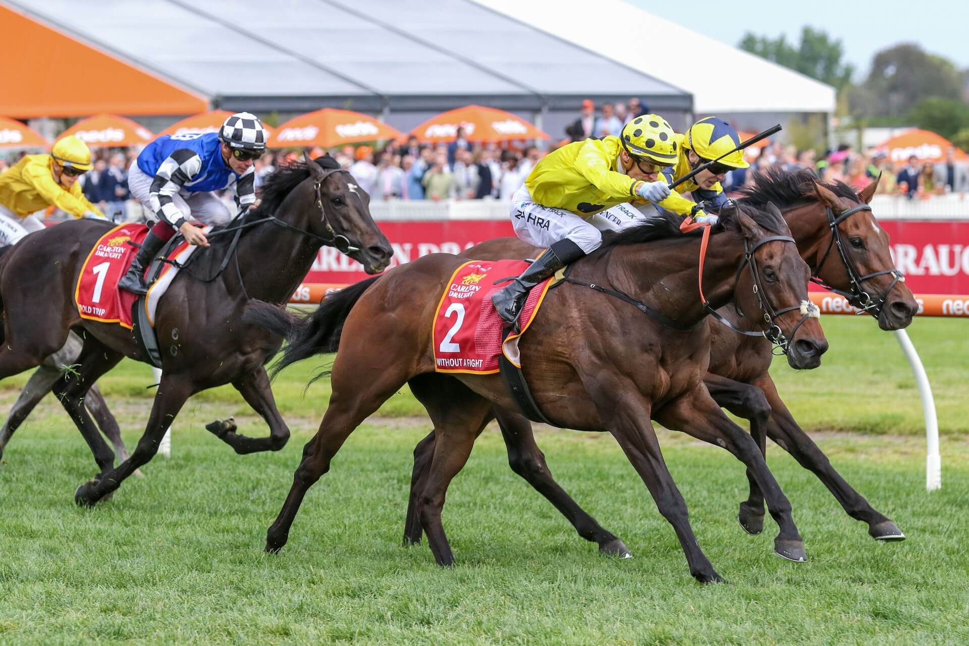 caulfield cup trifecta