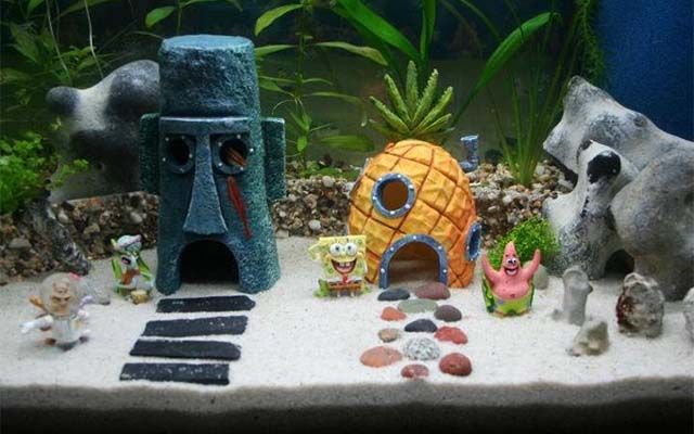 spongebob aquarium