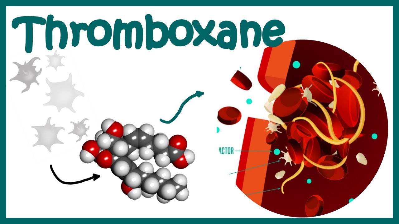 thromboxane