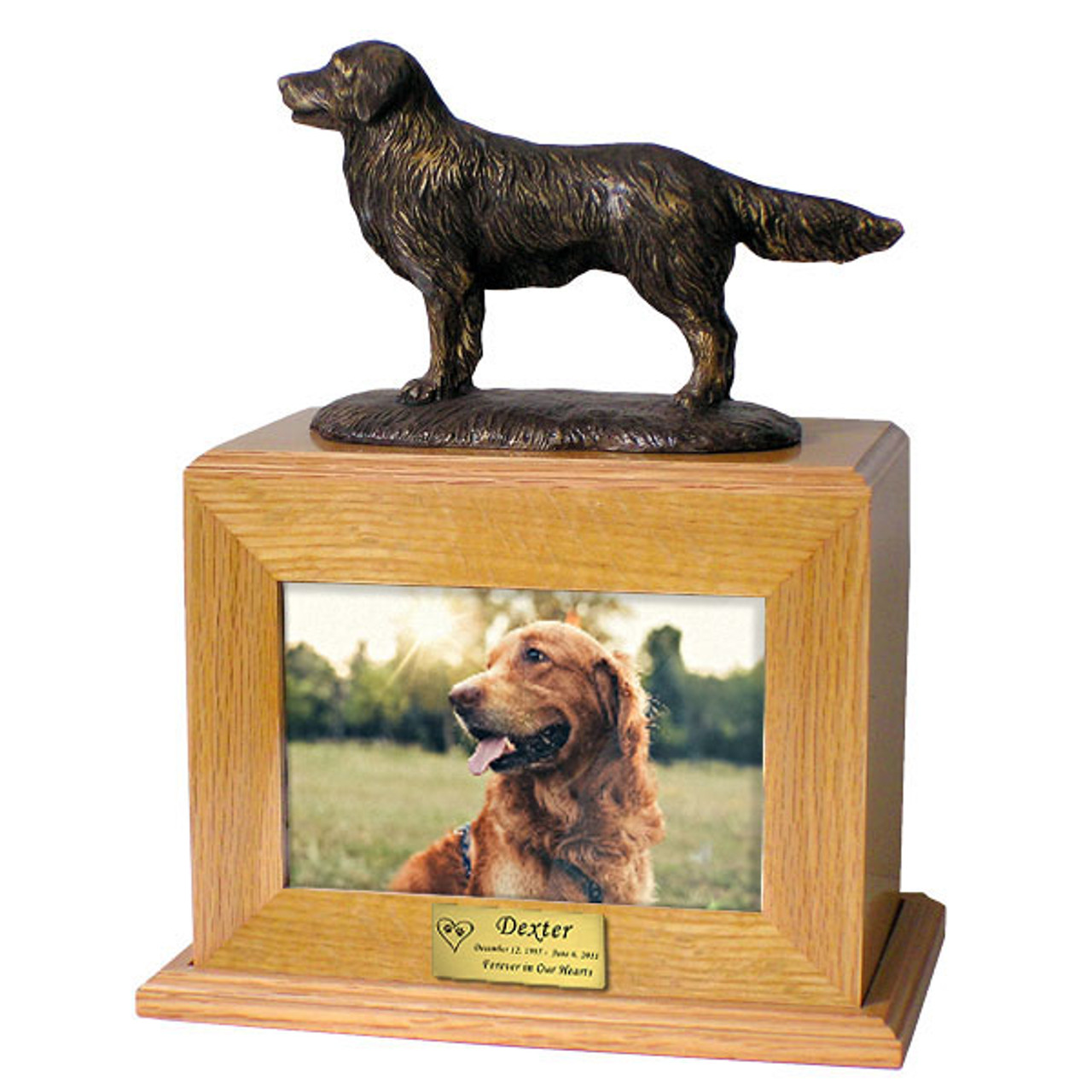 golden retriever urn