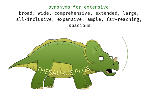 extensive synonym