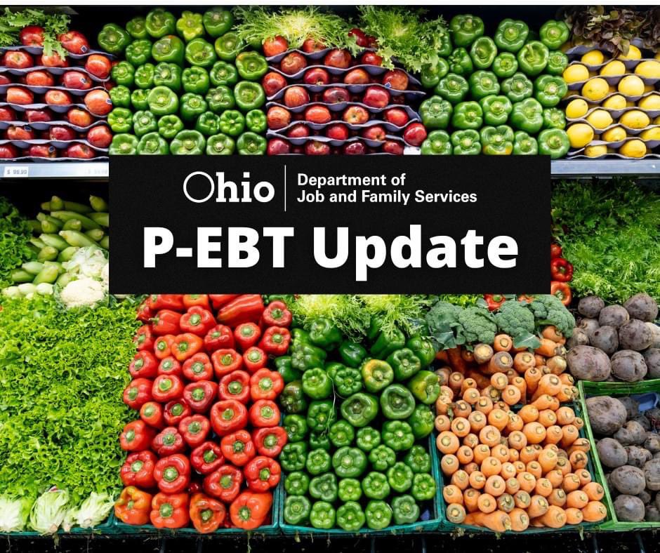 ohio p-ebt